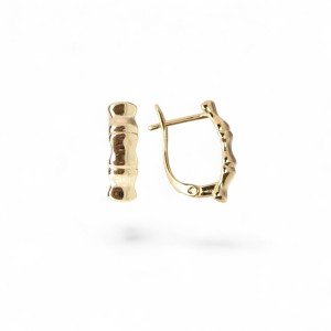 18k Gold Plated Earrings – Stylish Special Day Gift